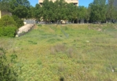 Terreno no urbanizable en venta en la España, Almansa, ref: TR116018 foto