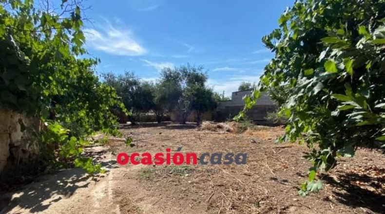 Cordova - Fuente Obejuna - 500m2