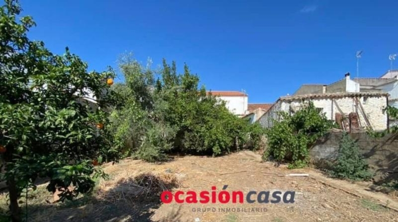 Cordova - Fuente Obejuna - 500m2