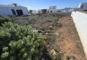 Suelo urbano en venta en la España, Teguise, ref: TR390690 foto