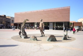 Foto 12