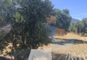 Terreno no urbanizable en venta en la España, Cantallops, ref: TR407152 foto