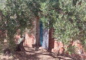 Terreno no urbanizable en venta en la España, Cantallops, ref: TR407152 foto