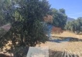 Terreno no urbanizable en venta en la España, Cantallops, ref: TR407152 foto