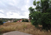 Suelo urbano en venta en la España, Palma de Gandía, ref: TR407494 foto