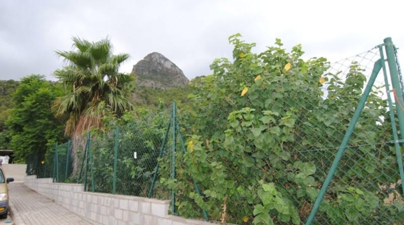 València - Palma de Gandía - 610m2