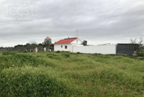 Almonte 10000&nbsp;m²