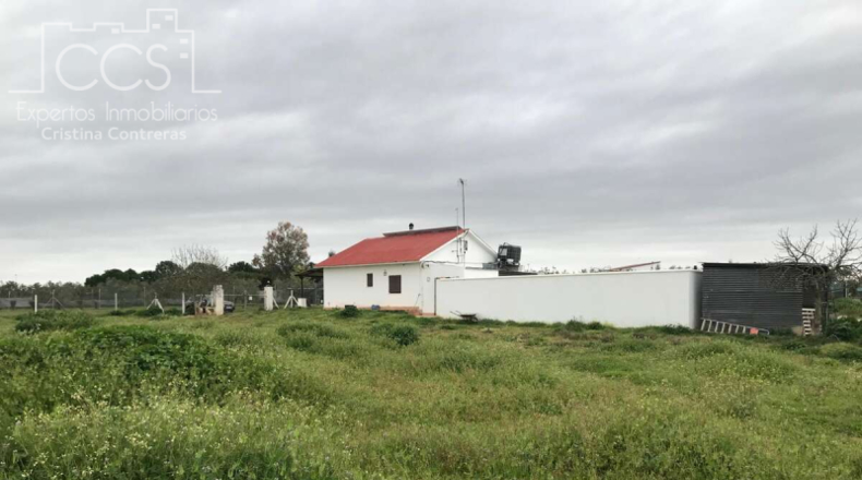 Huelva - Almonte - 10000m2