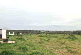 Almonte 10000&nbsp;m²