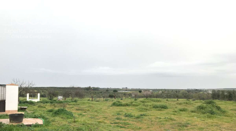 Huelva - Almonte - 10000m2