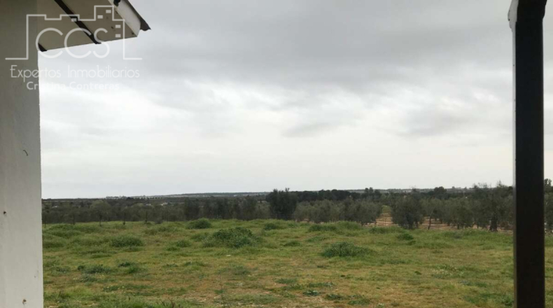 Huelva - Almonte - 10000m2