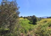 Terreno no urbanizable en venta en la España, Málaga, ref: TR402515 foto
