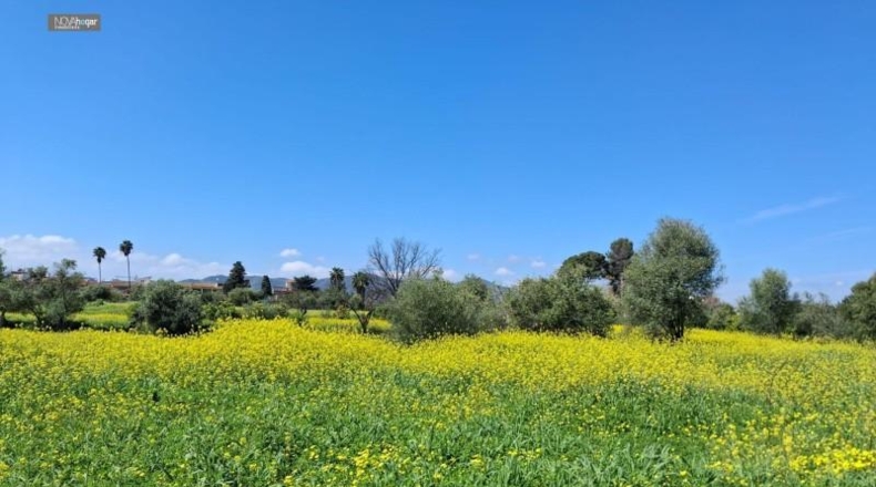 Malaga - Màlaga - 7330m2