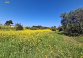 Terreno no urbanizable en venta en la España, Málaga, ref: TR402515 foto