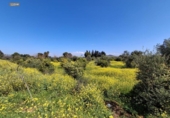 Terreno no urbanizable en venta en la España, Málaga, ref: TR402515 foto