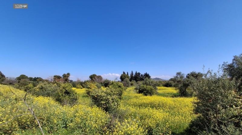Malaga - Màlaga - 7330m2