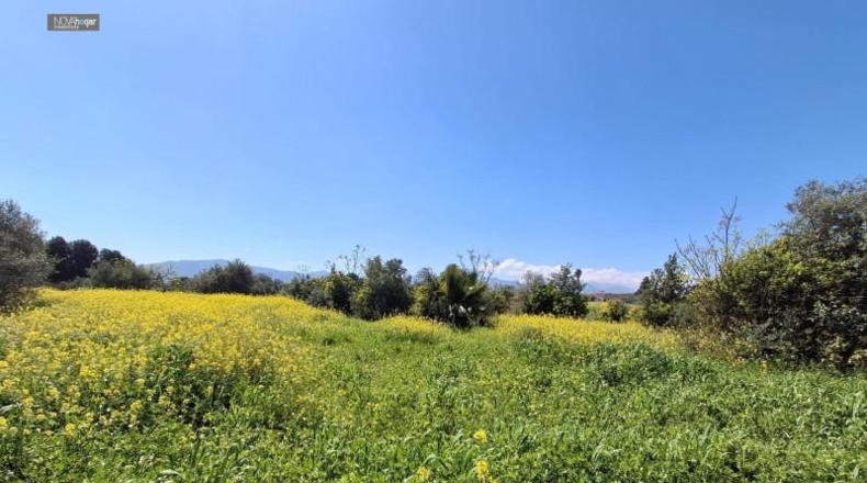 Malaga - Màlaga - 7330m2