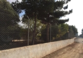 Country house with land for sale on España, Librilla, ref: TR141619 photo