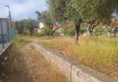 Parcel·la urbanitzable en venda a la España, Ullastrell, ref.: TR255147 foto