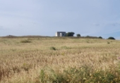 Земельный участок на продажу в городе Medina Sidonia Фото