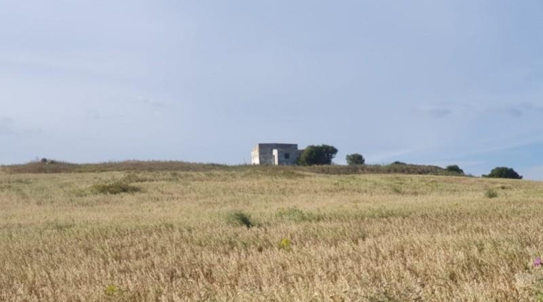 Cadiz - Medina Sidonia - 62500m2