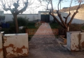 Chalet independiente con terreno en venta en la España, Albacete, ref: TR400702 foto
