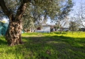 Casa de campo con terreno en venta en la España, Cádiar, ref: TR411280 foto