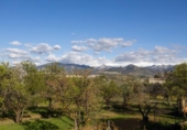 Casa de campo con terreno en venta en la España, Cádiar, ref: TR411280 foto