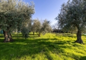 Casa de campo con terreno en venta en la España, Cádiar, ref: TR411280 foto