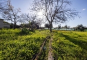 Casa de campo con terreno en venta en la España, Cádiar, ref: TR411280 foto