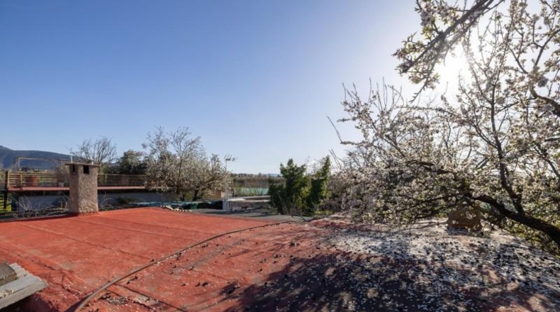 Granada - Cádiar - 2000m2