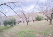 Terreny no urbanitzable en venda a la España, Pinos Genil, ref.: TR409647 foto