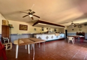 Chalet independiente con terreno en venta en la España, Alcolea, ref: TR245197 foto