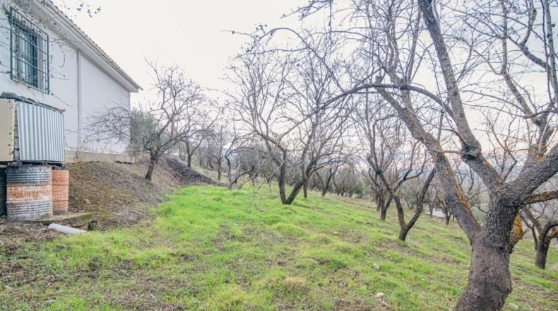 Granada - Pinos Genil - 71m2