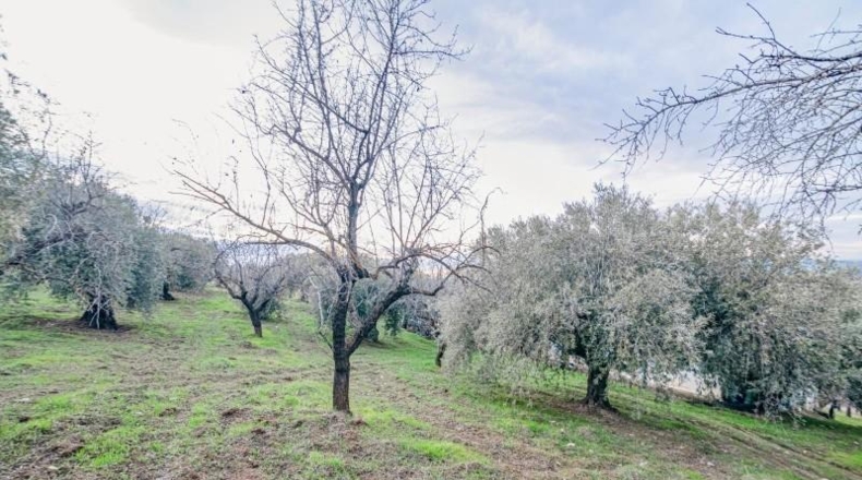 Granada - Pinos Genil - 71m2
