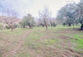 Terreno no urbanizable en venta en la España, Pinos Genil, ref: TR404377 foto