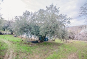 Pinos Genil 71&nbsp;m²