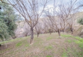 Terreno no urbanizable en venta en la España, Pinos Genil, ref: TR404377 foto