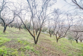 Pinos Genil 71&nbsp;m²