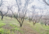 Terreno no urbanizable en venta en la España, Pinos Genil, ref: TR404377 foto