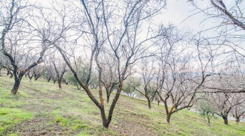 Granada - Pinos Genil - 71m2