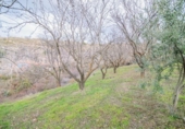 Terreno no urbanizable en venta en la España, Pinos Genil, ref: TR404377 foto