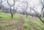Terreno no urbanizable en venta en la España, Pinos Genil, ref: TR404377 foto