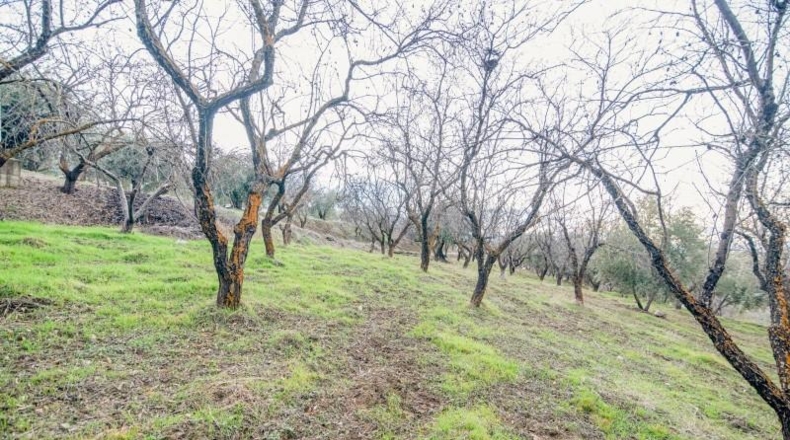Granada - Pinos Genil - 71m2