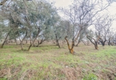 Terreno no urbanizable en venta en la España, Pinos Genil, ref: TR404377 foto