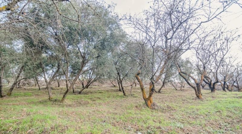 Granada - Pinos Genil - 71m2