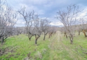 Terreno no urbanizable en venta en la España, Pinos Genil, ref: TR404377 foto