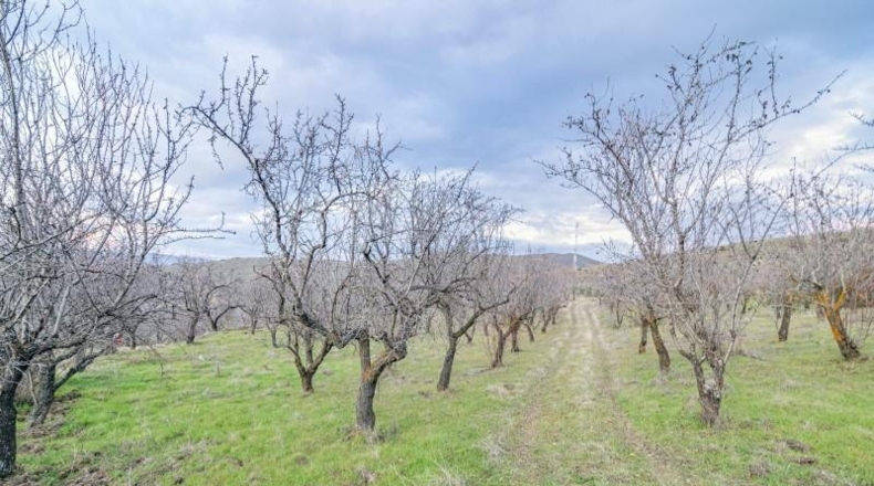 Granada - Pinos Genil - 71m2