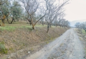Terreno no urbanizable en venta en la España, Pinos Genil, ref: TR404377 foto
