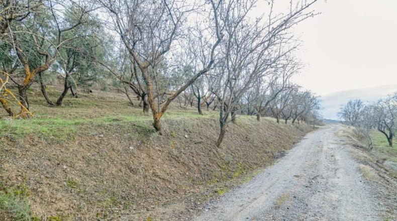 Granada - Pinos Genil - 71m2